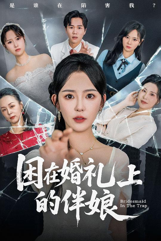 困在婚礼上的伴娘(全集)