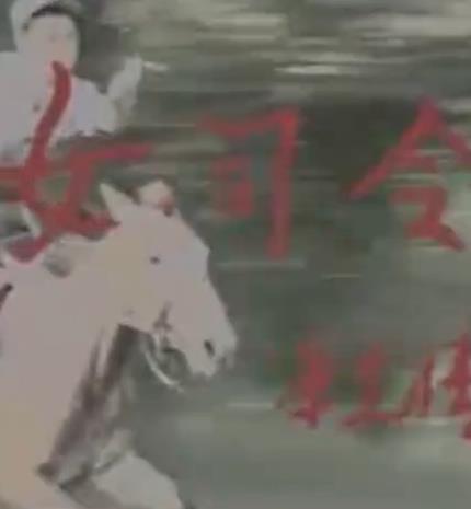 女司令(全集)