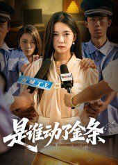 是谁动了金条(全集)