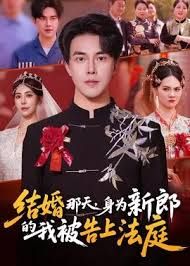 结婚那天，身为新郎的我被告上法庭(全集)